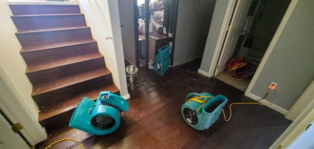 Best Flood restoration services  in Depew, NY