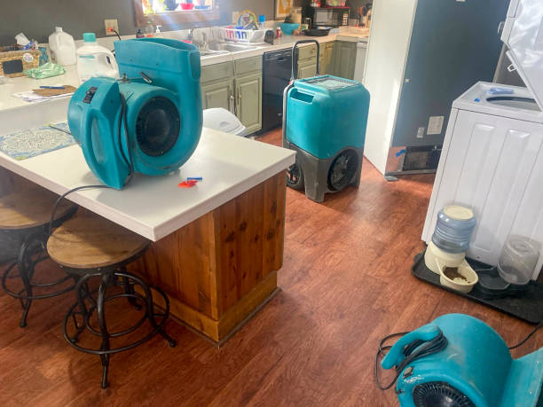 Best Water damage restoration experts  in Depew, NY