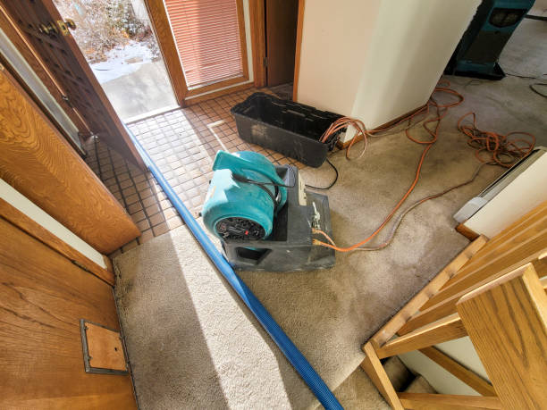 Best Water damage restoration near me  in Depew, NY
