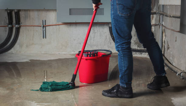 Best Basement water damage restoration  in Depew, NY