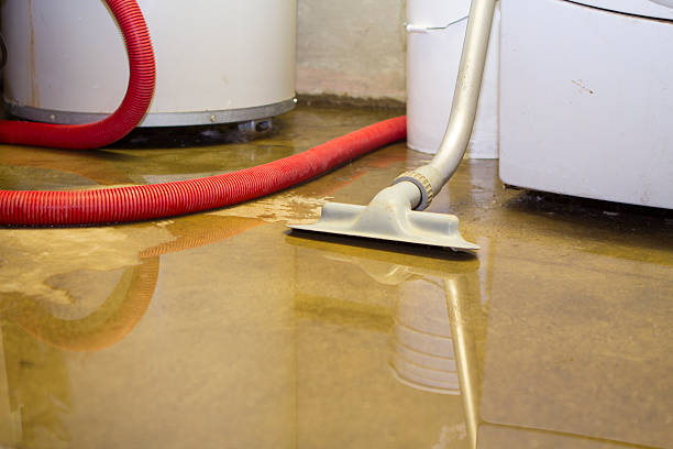 Best Carpet water damage restoration  in Depew, NY