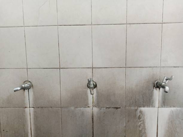Best Residential water damage restoration  in Depew, NY