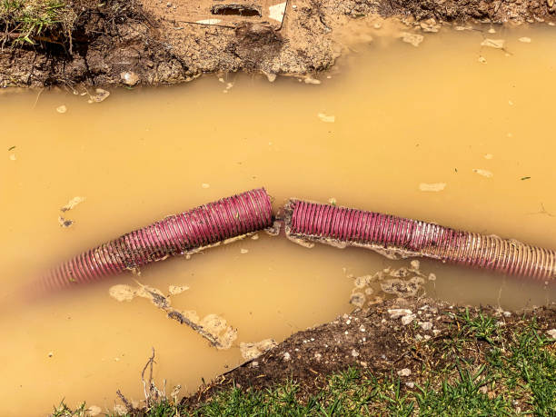 Best Mold removal after water damage  in Depew, NY